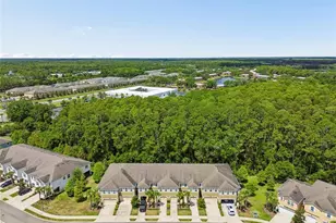 17852 Althea Blue Pl, Lutz, FL 33558 - Photo 51