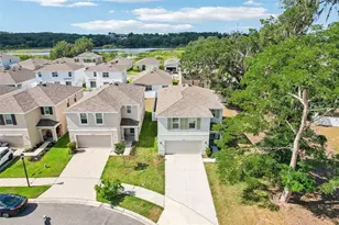 36557 Night Strawberry Ct, Dade City, FL 33525 - Photo 49