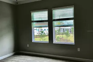 18672 Noble Caspian Dr, Lutz, FL 33558 - Photo 19