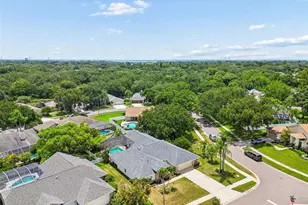 1776 Wood Thrush Way, Palm Harbor, FL 34683 - Photo 53