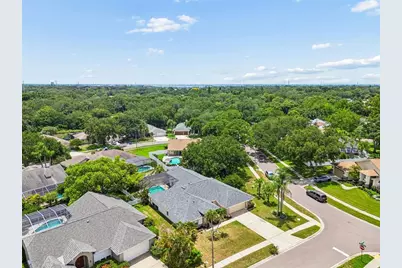1776 Wood Thrush Way, Palm Harbor, FL 34683 - Photo 65