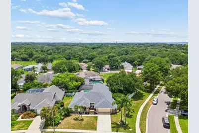 1776 Wood Thrush Way, Palm Harbor, FL 34683 - Photo 51