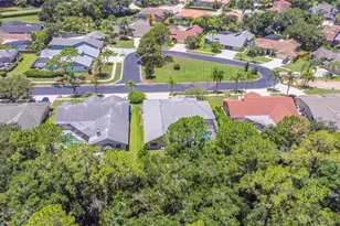 3792 Windber Blvd, Palm Harbor, FL 34685 - Photo 57