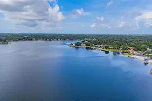 10509 Orange Grove Dr, Tampa, FL 33618 - Photo 37