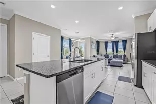 31603 Blue Passing Loop, Wesley Chapel, FL 33545 - Photo 13