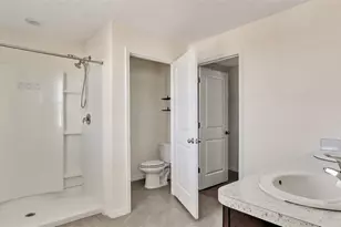 16636 Windmill Forge Pass, Wimauma, FL 33598 - Photo 3