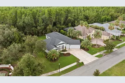 20454 Lace Cascade Rd, Land O Lakes, FL 34637 - Photo 5