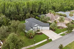20454 Lace Cascade Rd, Land O Lakes, FL 34637 - Photo 5