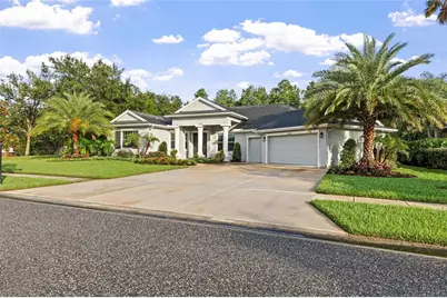20454 Lace Cascade Rd, Land O Lakes, FL 34637 - Photo 3