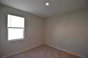32003 Conchshell Sail St, Wesley Chapel, FL 33545 - Photo 43