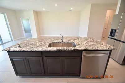 32003 Conchshell Sail Street, Wesley Chapel, FL 33545 - Photo 27
