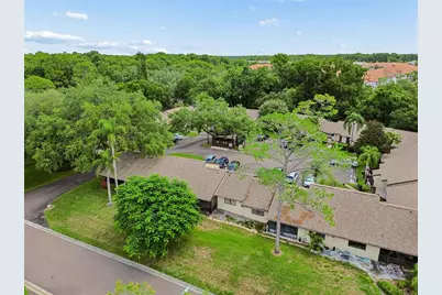 2903 Fig Court, Palm Harbor, FL 34684 - Photo 39