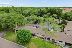 2903 Fig Ct, Palm Harbor, FL 34684 - Photo 39