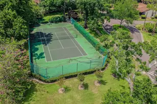 2903 Fig Ct, Palm Harbor, FL 34684 - Photo 53
