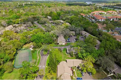 2903 Fig Court, Palm Harbor, FL 34684 - Photo 45
