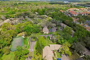 2903 Fig Ct, Palm Harbor, FL 34684 - Photo 45