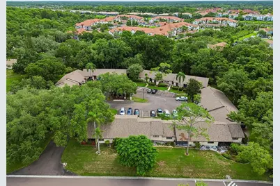 2903 Fig Court, Palm Harbor, FL 34684 - Photo 37