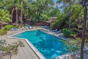 2903 Fig Ct, Palm Harbor, FL 34684 - Photo 49