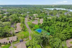 2903 Fig Ct, Palm Harbor, FL 34684 - Photo 41