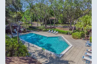 2903 Fig Court, Palm Harbor, FL 34684 - Photo 49