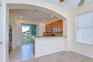 6919 Towering Spruce Dr, Riverview, FL 33578 - Photo 13