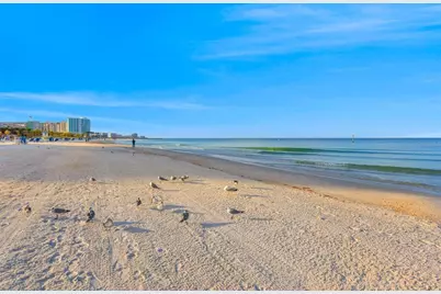 602 Lime Avenue #101, Clearwater, FL 33756 - Photo 41
