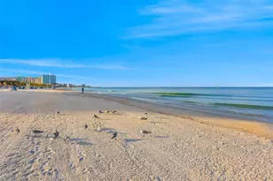 602 Lime Ave, Clearwater, FL 33756 - Photo 41