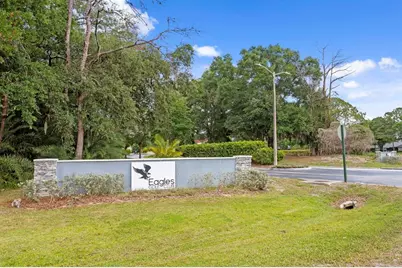 12918 Red Cardinal Drive, Odessa, FL 33556 - Photo 87