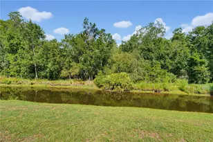 7421 Henry Dr, Land O Lakes, FL 34638 - Photo 47