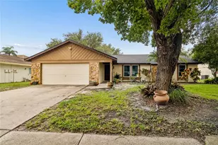 15116 Trail Creek Pl, Tampa, FL 33625 - Photo 1