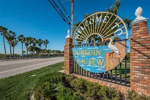 300 Woodette Dr, Dunedin, FL 34698 - Photo 43