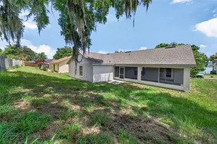 294 Lake Doe Blvd, Apopka, FL 32703 - Photo 19