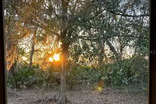 14635 Dupree Rd, Wimauma, FL 33598 - Photo 33
