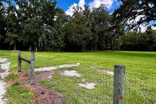 9499 Treiman Blvd, Webster, FL 33597 - Photo 27