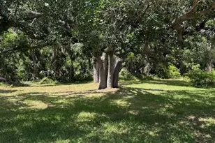 833 Jolanda Cir, Venice, FL 34285 - Photo 57
