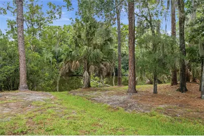 1332 Preservation Way, Oldsmar, FL 34677 - Photo 11
