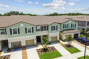 2665 Buttercup Lucine Ln, Ruskin, FL 33570 - Photo 55