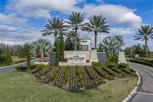 4248 Cairoli Ct, Wesley Chapel, FL 33543 - Photo 69