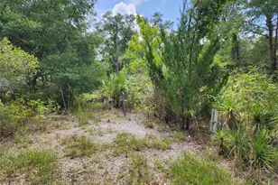 11335 N Ginny Lane Point, Inglis, FL 34449 - Photo 3