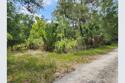 11335 N Ginny Lane Point, Inglis, FL 34449 - Photo 1