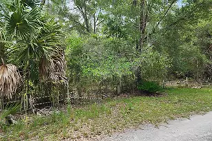 11335 N Ginny Lane Point, Inglis, FL 34449 - Photo 5