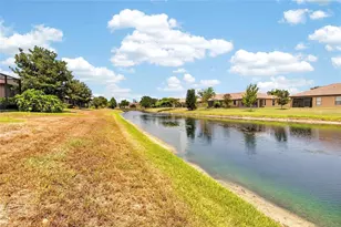 132 Shell Falls Dr, Apollo Beach, FL 33572 - Photo 61