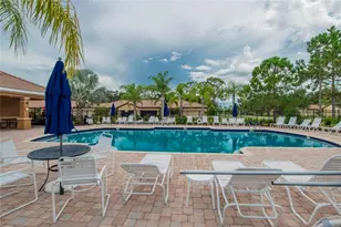 132 Shell Falls Dr, Apollo Beach, FL 33572 - Photo 87