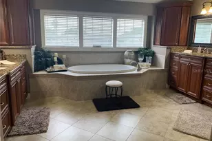 1630 Tawnyberry Ct, Trinity, FL 34655 - Photo 3