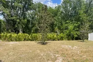 833 Wiltonway Dr, Plant City, FL 33563 - Photo 3