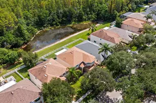 18923 Fishermans Bend Dr, Lutz, FL 33558 - Photo 51