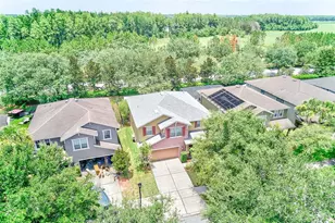 2917 Winglewood Cir, Lutz, FL 33558 - Photo 41
