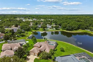 5303 Clouds Peak Dr, Lutz, FL 33558 - Photo 79