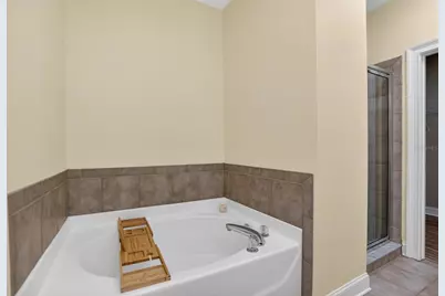 6451 Sunset Bay Circle, Apollo Beach, FL 33572 - Photo 43