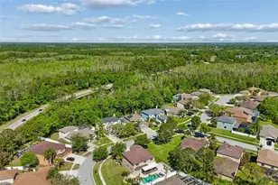 12507 Ashdown Dr, Odessa, FL 33556 - Photo 83